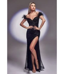 Cinderella Divine Black Sequin & Feather Old Hollywood Glamour Prom Dress