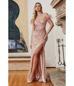 Cinderella Divine Blush Sequin & Feather Old Hollywood Glamour Prom Dress