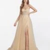 Champagne Corset Tulle Prom Ball Gown