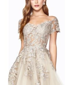 Cinderella Divine Champagne Floral A Line Bridal Ball Gown -Pleaser Clothing Store champagne floral a line bridal ball gown 409910