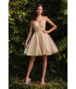 Cinderella Divine Champagne Tulle & Corset Applique Mini Prom Dress