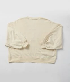 Cream Pumpkin Sequin Pullover Sweater -Pleaser Clothing Store cream pumpkin sequin pullover sweater 740704