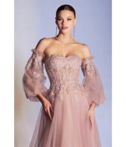 Cinderella Divine Dusty Rose Glitter Off The Shoulder Corset Prom Gown -Pleaser Clothing Store dusty rose glitter off the shoulder corset prom gown 430818