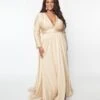 Plus Size Champagne Long Sleeve Sophisticated Goddess Gown