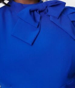 Royal Blue Rica Suave Tie Neck Jumpsuit -Pleaser Clothing Store royal blue rica suave tie neck jumpsuit 116832