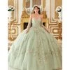 Cinderella Divine Sage Floral Tulle Princess Ball Gown